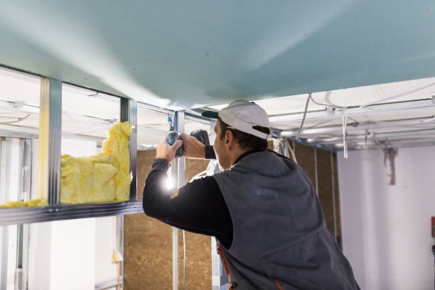 Best Insulation Contractors for Homes  in Kitty Hawk, NC