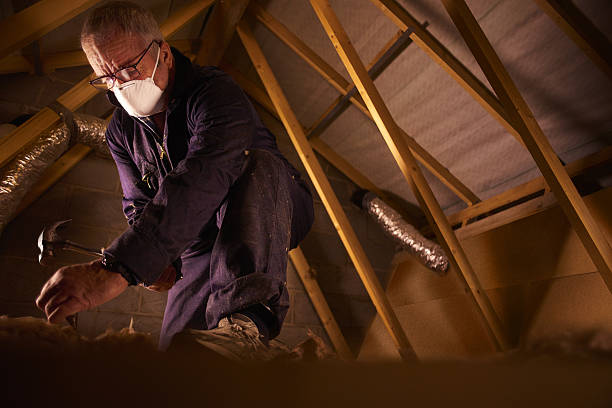 Best Commercial Insulation Contractor  in Kitty Hawk, NC